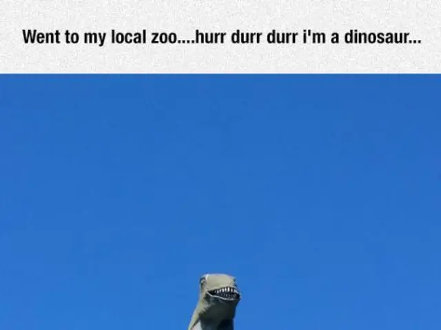 Interpretation of Dreams Regarding Lottery Wins