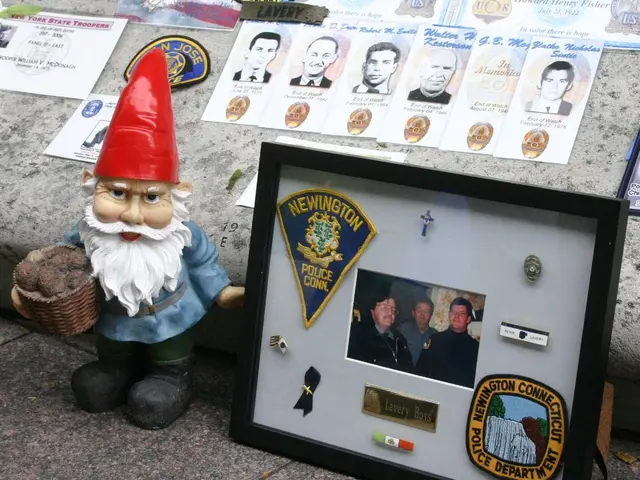 Betfred's Christmas Task Through Evolution