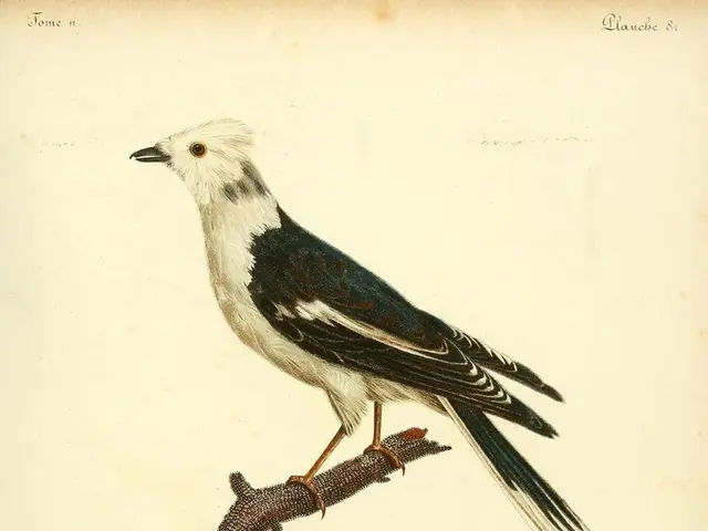 In a bizarre turn of events, Vogel's victory in Baden-Württemberg has left many dissatisfied,...